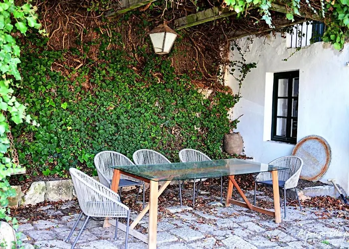 Semesterbostad La Casona De Dona Clotilde Sardon De Duero